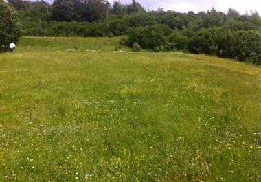 Land 1000 m2 for building in Kolashin