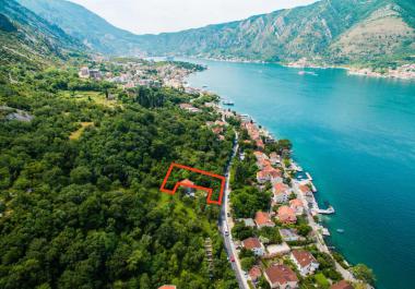 Land in Dobrota with great view to Boka Bay, 30 m from the sea