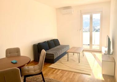 Flat in Podgorica