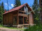 Legalized house in Zabljak with fireplace surrounded by coniferous forest