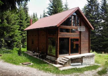 Legalized house in Zabljak with fireplace surrounded by coniferous forest