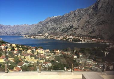 Luxury apartments in rezidence with sea-view next to Kotor, Montenegro