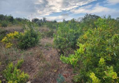 Land in Vranovici