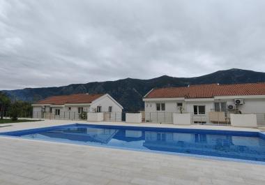 Buy flat in Kotor