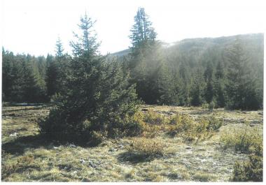 Exclusive mountain land for hunting farm 19720 m amidst pristine Durmitor nature