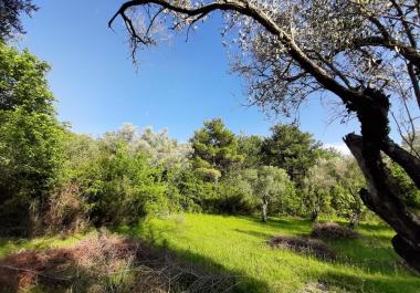 1350 m3 land plot near Tivat and Kotor for sale