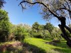 1350 m3 land plot near Tivat and Kotor for sale