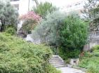 Charming 40 m2 Apartment with Private Yard 40 m2 near Sveti Stefan