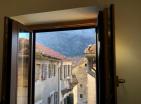 Charming one bedroom 50 m2 flat in Kotor Old Town with Garden