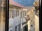 Charming one bedroom 50 m2 flat in Kotor Old Town with Garden