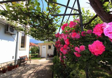 Charming house in Ilino, the third line of houses from the sea